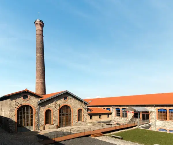 Aide Monte Escalier Monte escalier Chazelles-sur-Lyon