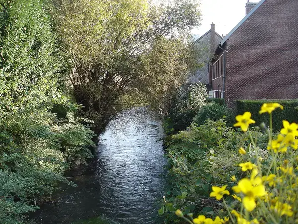 Aide Monte Escalier Monte escalier Déville-lès-Rouen
