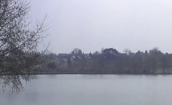 Aide Monte Escalier Monte escalier La Bazoge