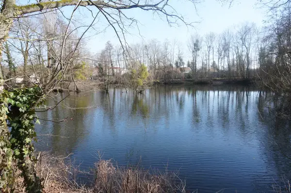 Aide Monte Escalier Monte escalier La Chapelle-Saint-Luc