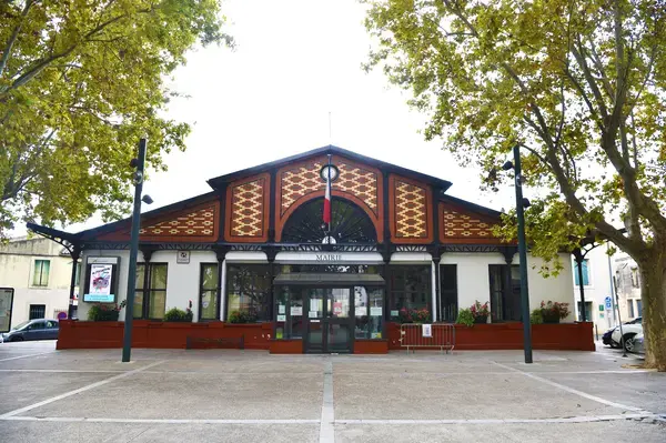 Aide Monte Escalier Monte escalier Lansargues