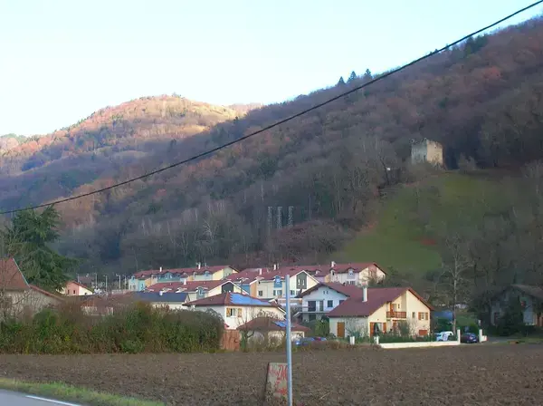 Aide Monte Escalier Monte escalier Le Versoud