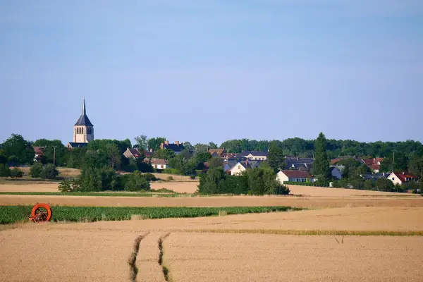Aide Monte Escalier Monte escalier Mardié
