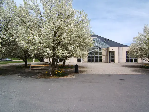 Aide Monte Escalier Monte escalier Olemps