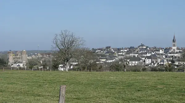Aide Monte Escalier Monte escalier Ombrée d'Anjou