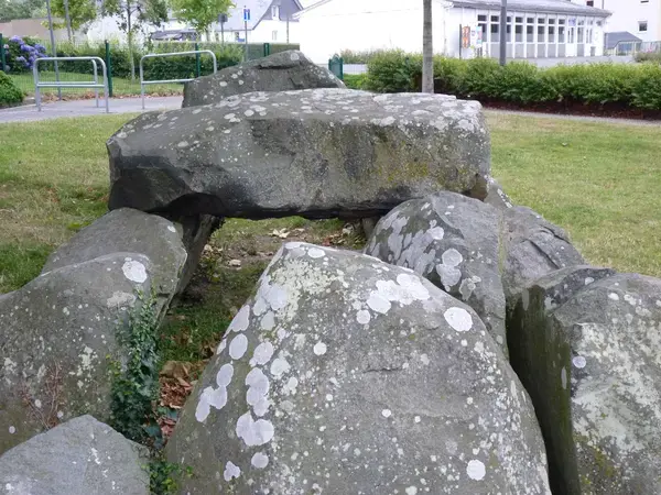 Aide Monte Escalier Monte escalier Ploufragan