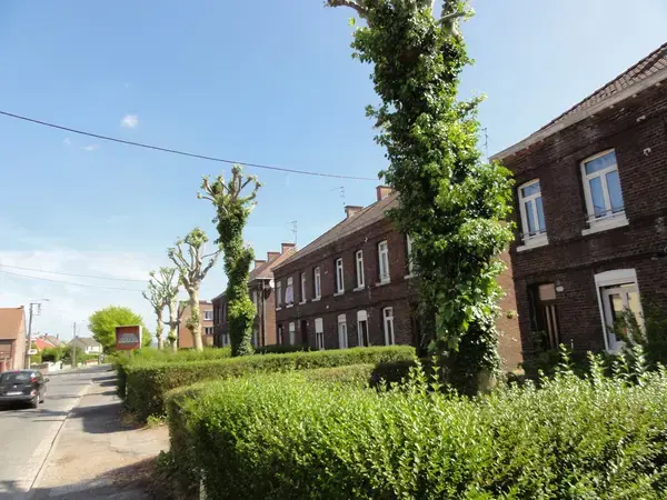 Aide Monte Escalier Monte escalier Quiévrechain