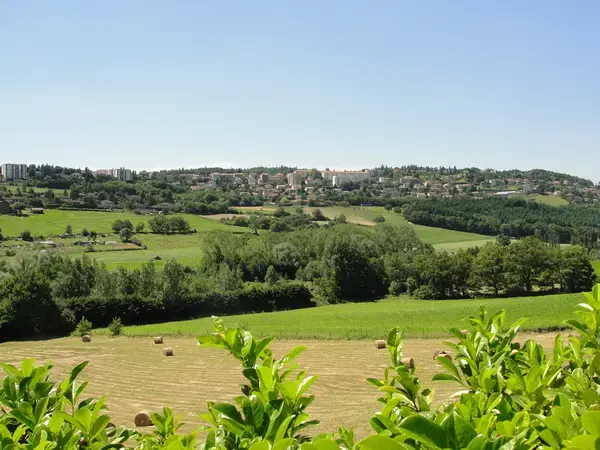 Aide Monte Escalier Monte escalier Saint-Genest-Lerpt