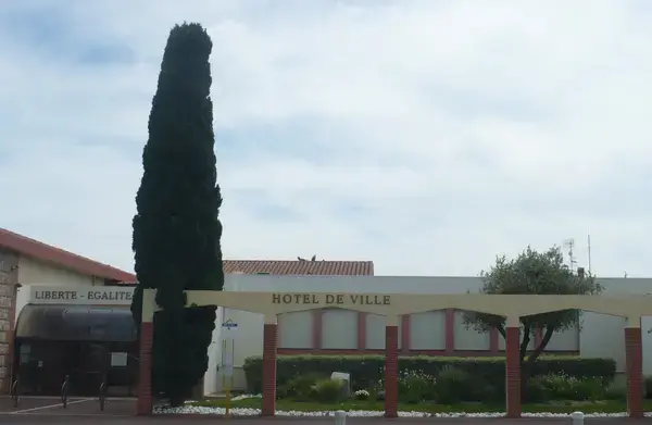 Aide Monte Escalier Monte escalier Saleilles